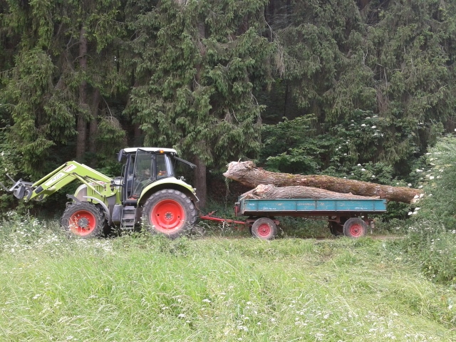 2014-06-20 14.39.21 (640x480).jpg