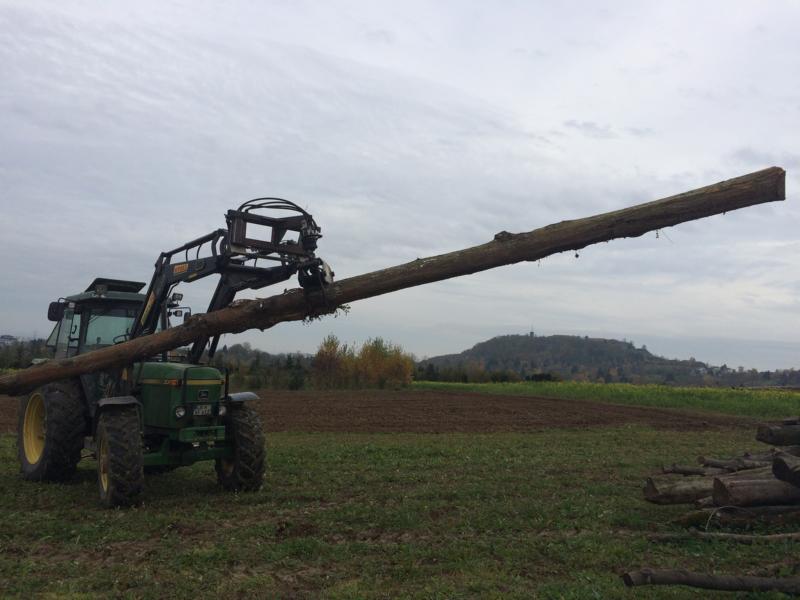 K800_2014-11-15 14.48.30.JPG