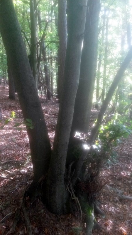 20181020_104532 - Kopie.jpg