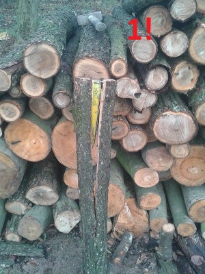 Holzspalten Demo 1.jpg