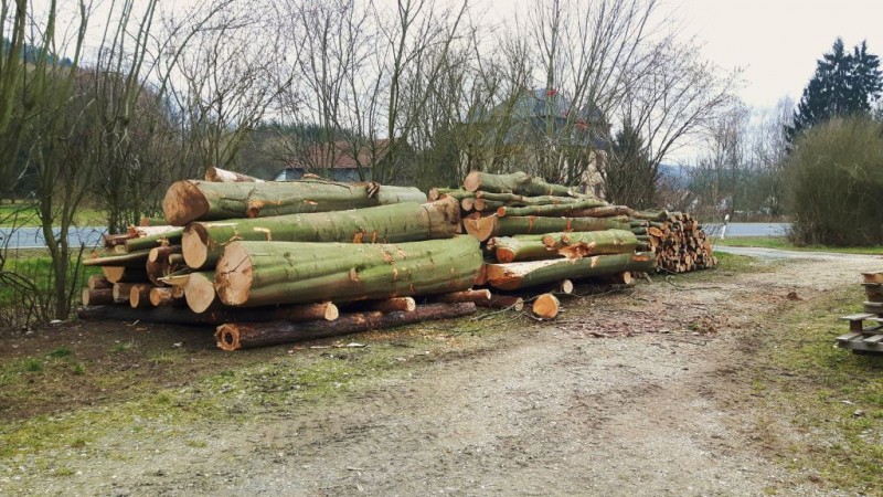 Holz rücken (18).jpg