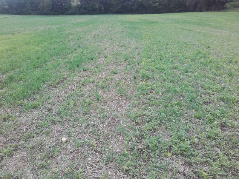 2017-09-21 Zf Unterschied.jpg