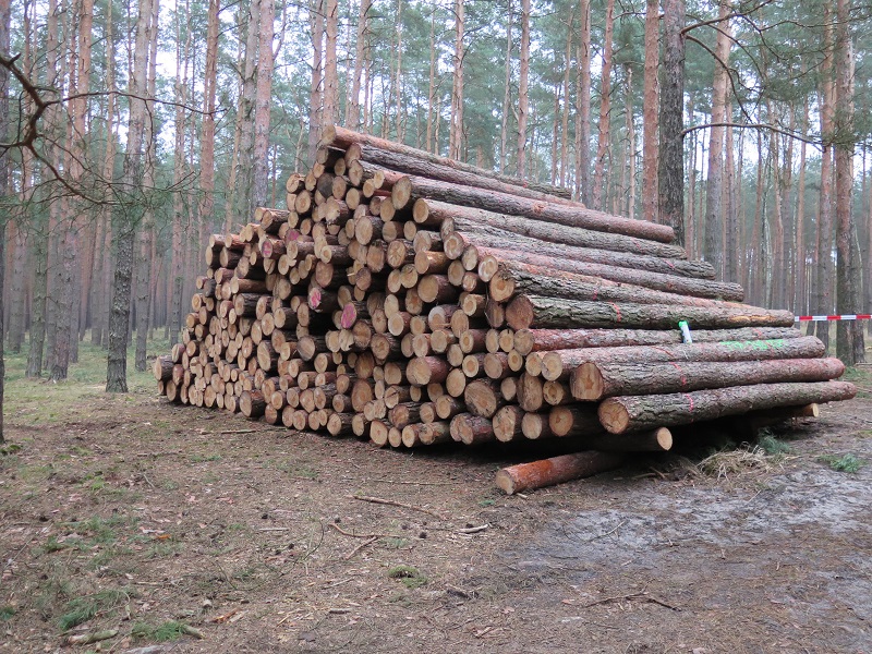 IMG_x0031 - Kopie.jpg