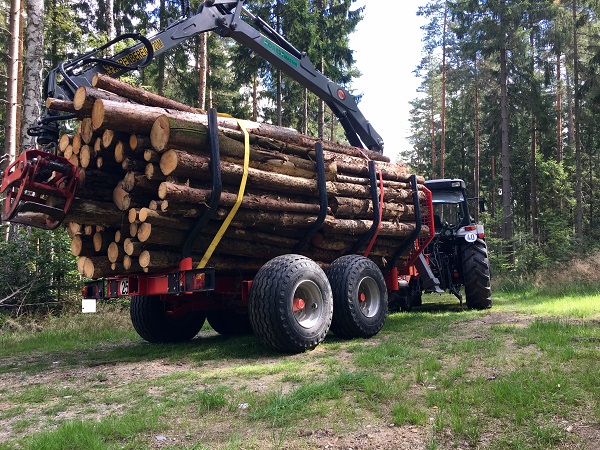 IMG_1118 (Bearbeitet).JPG