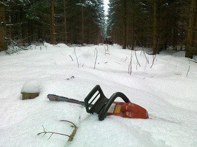 30.März 2013, immer noch 25cm Schnee im Wald.jpg