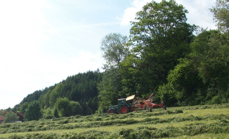 IMGP0175.jpg