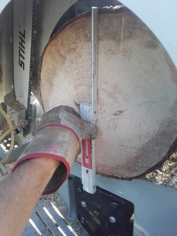 2019-07-10 36cm 2.jpg