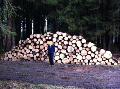 IMG_1116 - Kopie.JPG