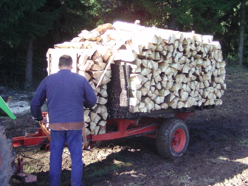 Wald mit Reiner 059.jpg