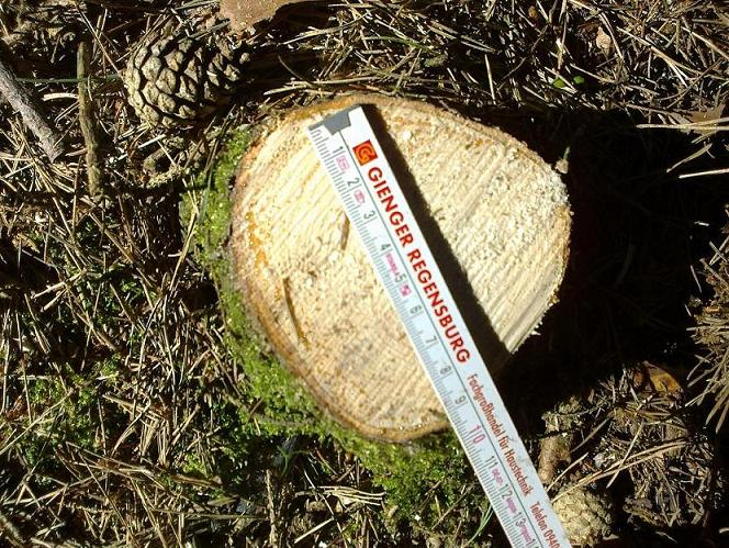 Stangen Juli 008.jpg