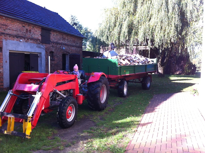 3009Brennholz.jpg