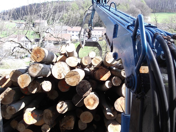Holzabfuhr Teil 3 004.JPG
