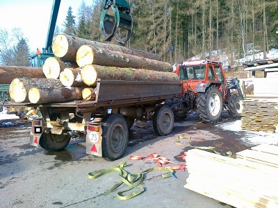 Abladen in der Sägemühle.jpg