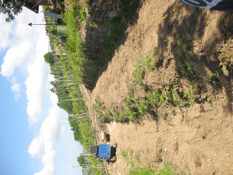 Neuanlage III - Kopie.jpg