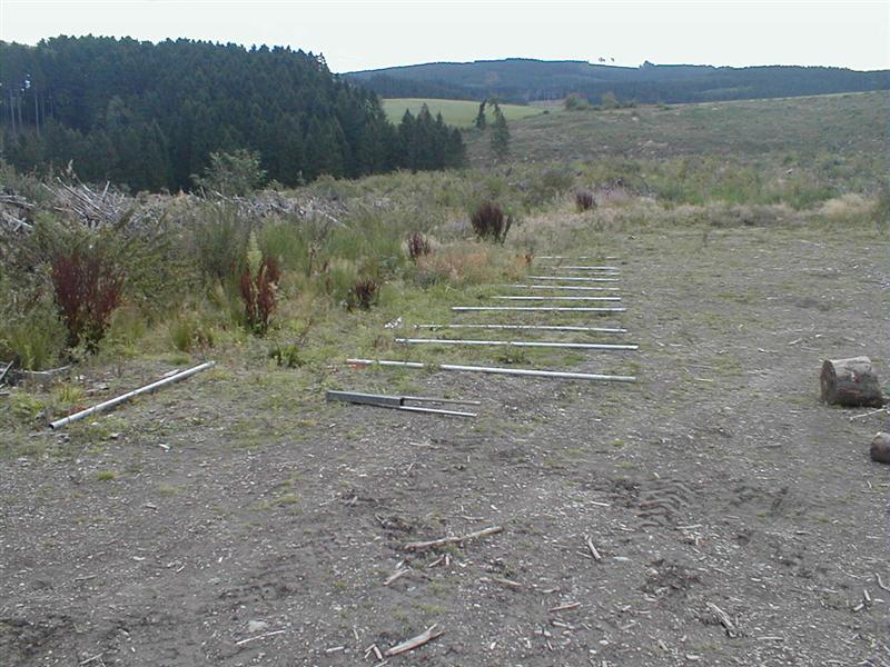 P9040001 (Medium).JPG