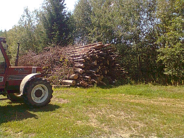 Bild0446.jpg