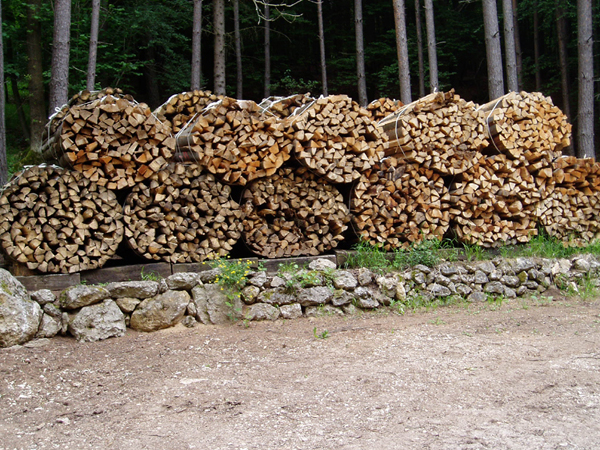 Ergebnis 2010 002.jpg