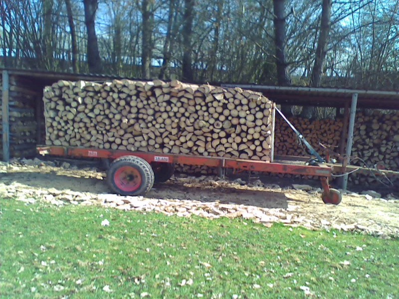 Holzausbeute 020.jpg