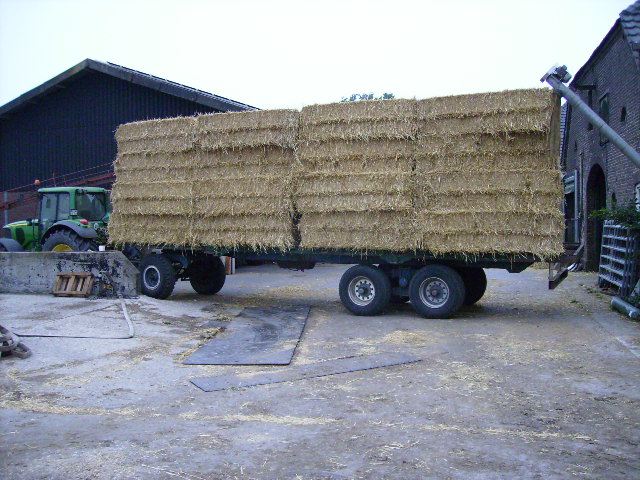 P8010010.JPG