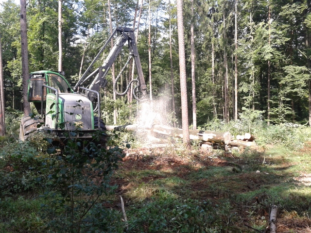 2012-08-25 11.43.34 (640x480).jpg