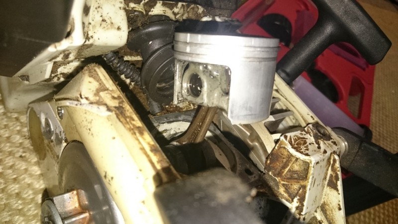 DSC_1223 (Medium).JPG