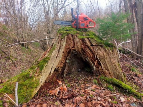 IMG20240210154501 -k.jpg