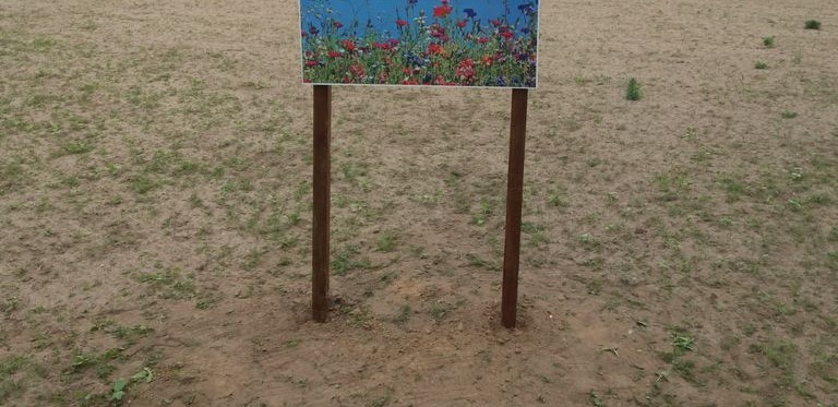 20200530_182607 (2).jpg