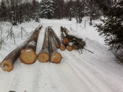 IMG_1501 - Kopie.JPG