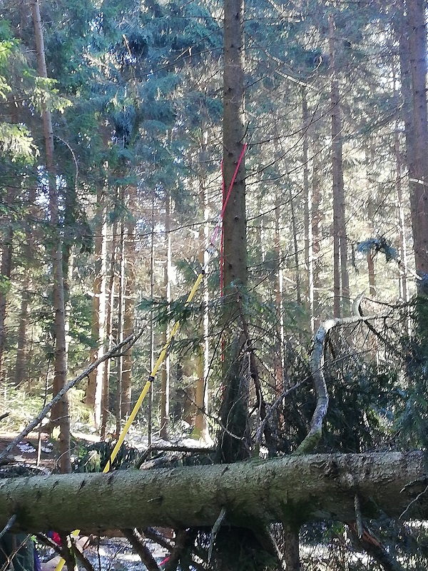 IMG_20190223_100803_1 klein.jpg