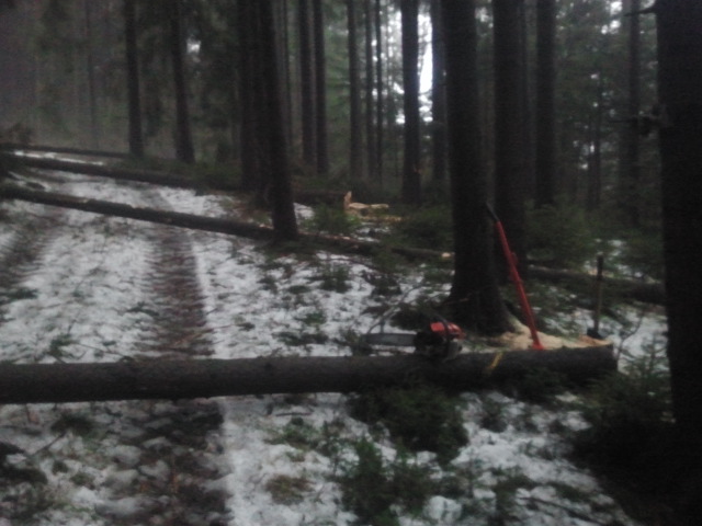 2012-02-24 17.17.12.jpg