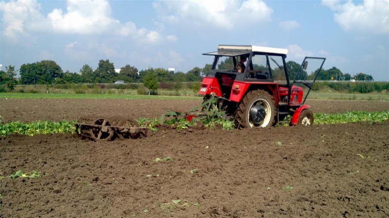 2014-09-07_14-47-44_294 (Individuell).jpg