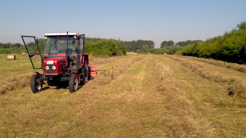 2014-07-19_08-59-49_621 (Individuell).jpg