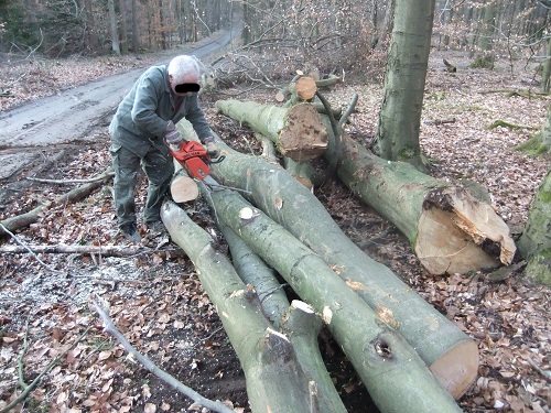 Waldarbeit und Werkzeug 2011 020.JPG