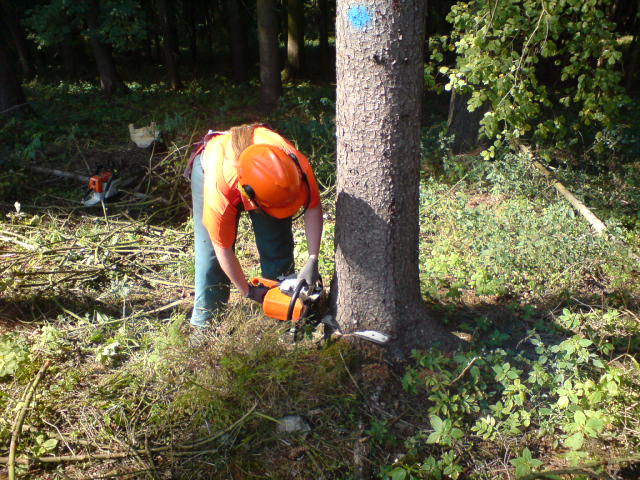 DSC00146.JPG