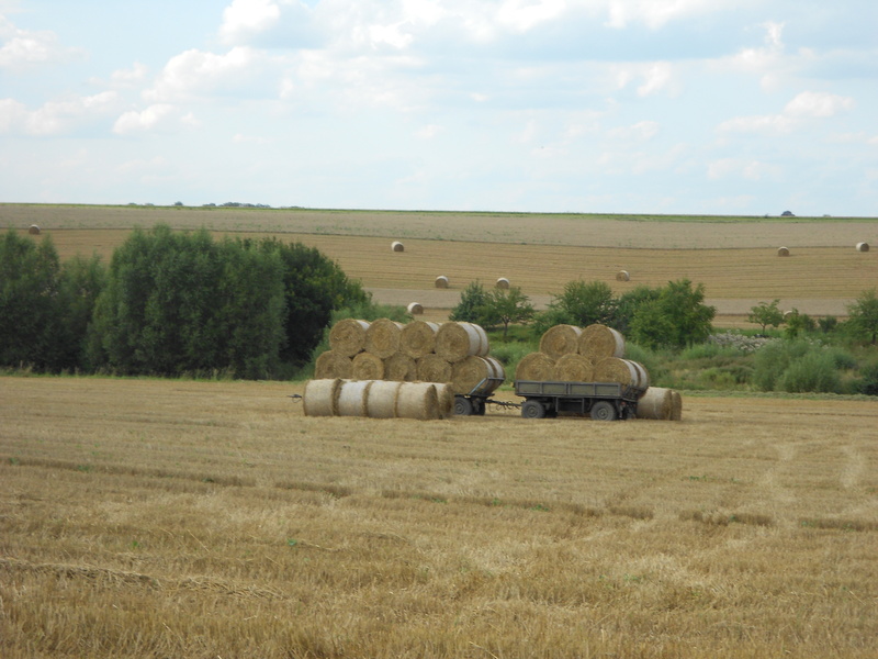DSCN8632.JPG