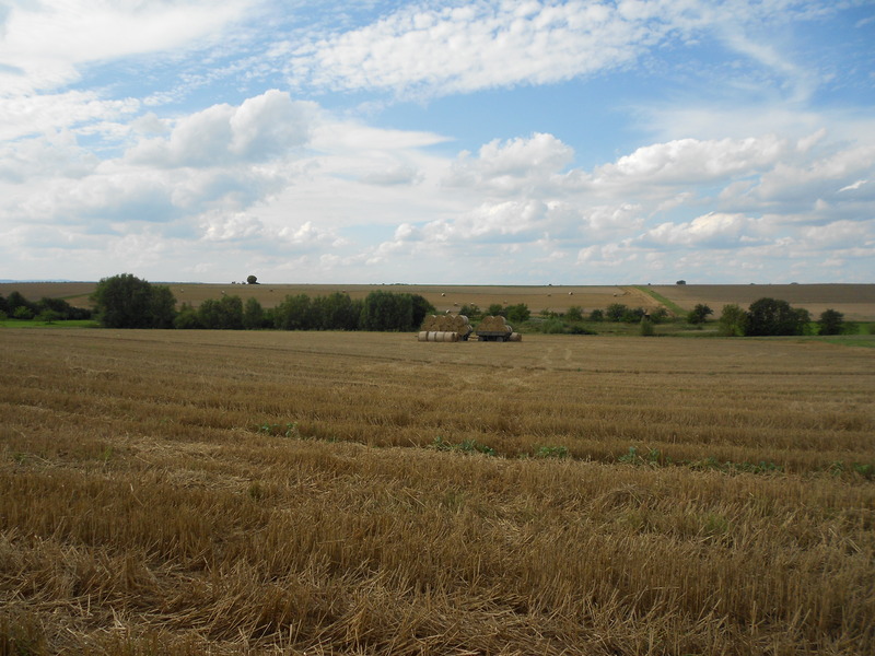 DSCN8633.JPG