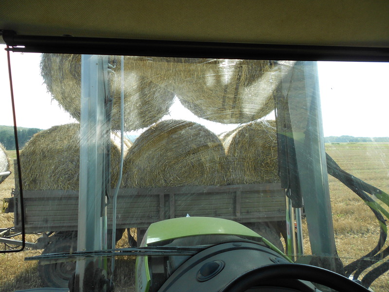 DSCN8639.JPG