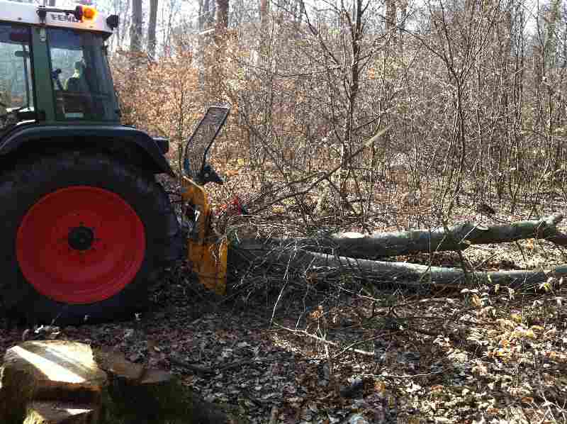 Holz machen 2012 0051.jpg