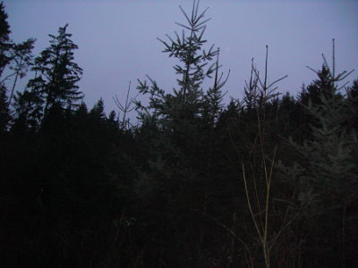 PICT2864 - Kopie.png