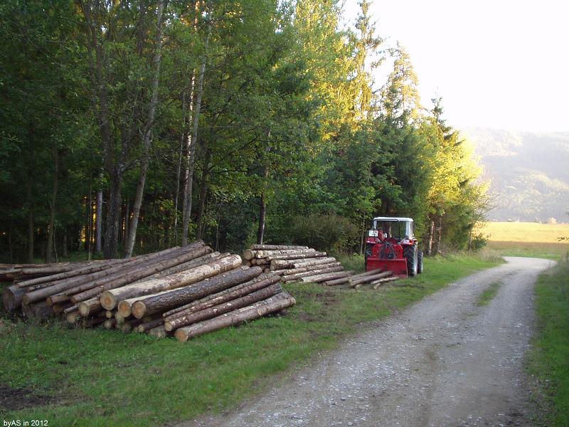 Faserholzhaufen_am_Waldrand_P9220010_2.JPG