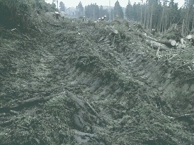 war mal ein Wanderweg (armer SGV !).JPG