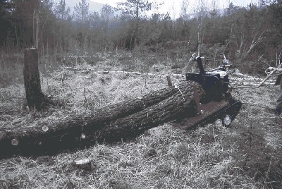 Eisernes Pferd 4.JPG