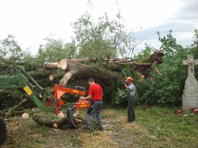 2013-07-29 15.58.52.jpg