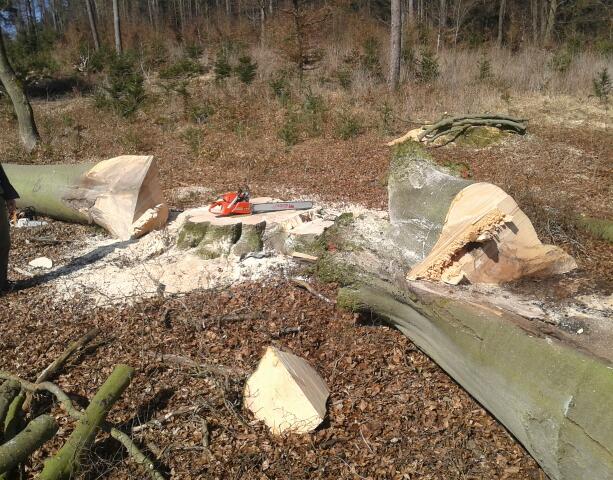 2012-03-22 11.11.35-1 (613x480).jpg