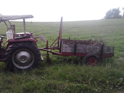 IMG_20130627_183240_0 MF + Karre.jpg