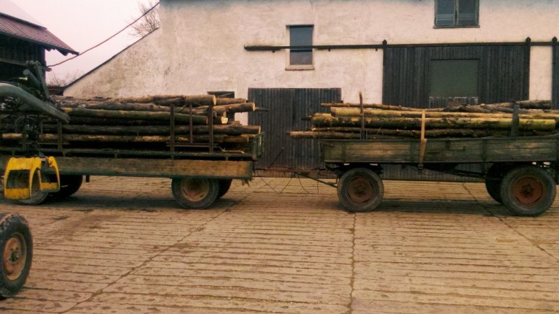 2015-12-11 Holz 4.jpg