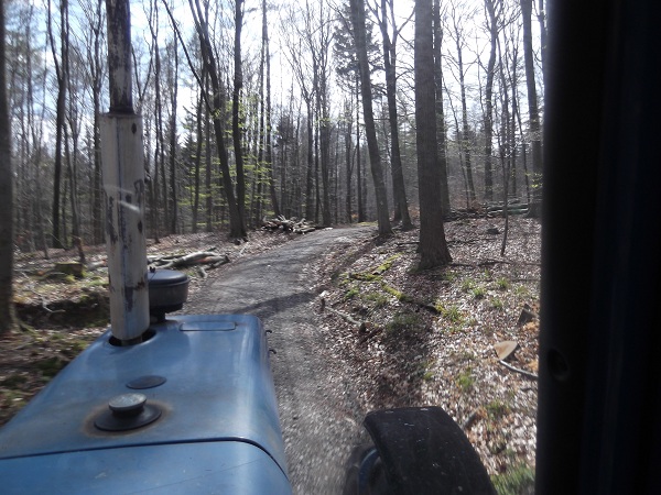 Holzabfuhr Teil 3 007.JPG