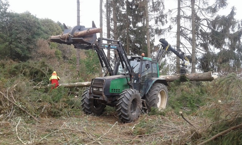 20180815_151419 klein.jpg