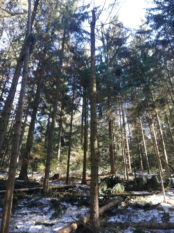 IMG_20190223_095711 klein.jpg