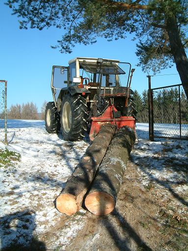 wald.verkl 067.JPG